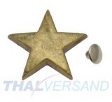 100er Pack Ziernieten Stern 25mm Altmessing #54 Motivnieten