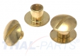 10er Pack Buchschrauben Chicagoschrauben 5mm Kopf 10mm Gold