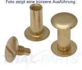 10er Pack Buchschrauben Chicagoschrauben 65mm Kopf 10mm Gold